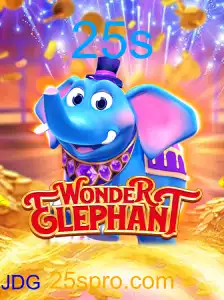 WonderElephant